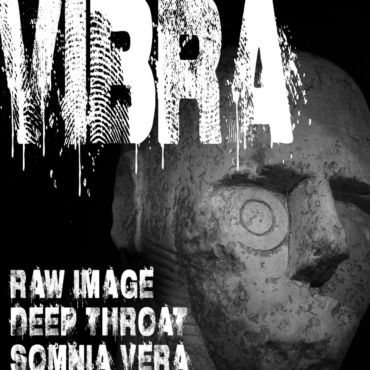 Flyer: VIBRA